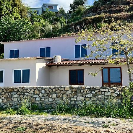 Residence Villa Denny&Villa Kate Borsh Ngoại thất bức ảnh
